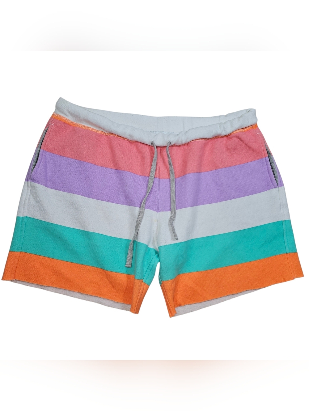 Chubbies By Schwort Pastel Striped Fleece Mens Shorts In XXL